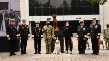 FOTO: Marina de México rinde homenaje a perrita “Frida”, símbolo durante los rescates en el sismo de 2017