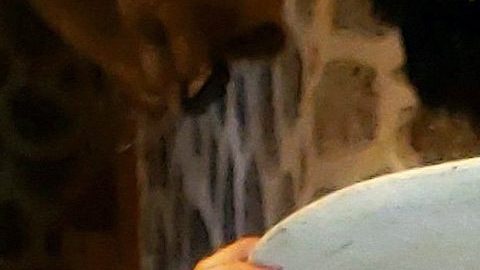 El presunto responsable de la muerte de Yrma Lydya falleció en prisión.