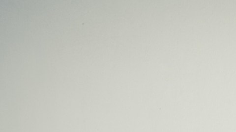 Gobierno de EE. UU. recomienda evaluar la ansiedad en niños de 8 años en adelante
