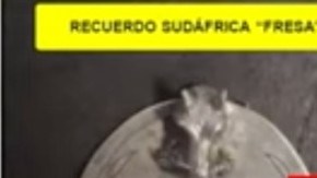 el-fresa-sudafrica-familia-michoacana-