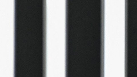 Imagen de Elon Musk de pie en un fondo negro con blanco.