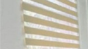 fiesta-buchona-Mazatlan