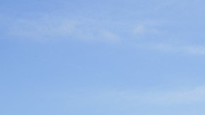 Imagen de varias bombas de gasolina en una estación de Costco en la que se ven varios autos.