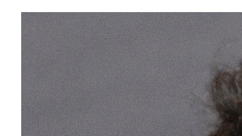 Jonás Cuarón y Bad Bunny