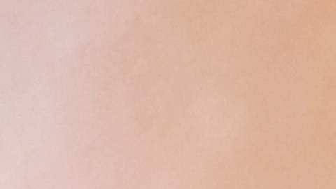 Labios significado