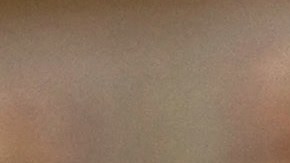 El McRib tuvo su debut inicial en 1981 en Kansas City y desde entonces ha aparecido repentinamente en los menús de diversas ubicaciones del país.