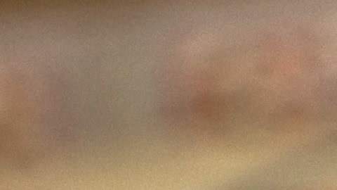 El McRib tuvo su debut inicial en 1981 en Kansas City y desde entonces ha aparecido repentinamente en los menús de diversas ubicaciones del país.