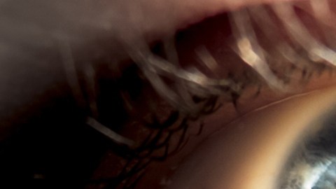 Todas las personas de ojos azules comparten el mismo ancestro: un europeo que vivió hace 10,000 años