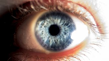 Todas las personas de ojos azules comparten el mismo ancestro: un europeo que vivió hace 10,000 años