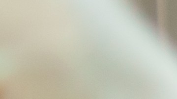 Orquídeas, plantas positivas