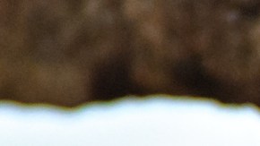 Hantavirus en EE. UU.: qué debemos saber