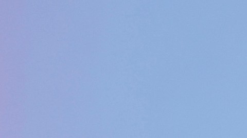 Rita Ora y Taika Waititi