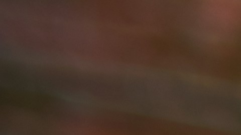 Día Nacional del Taco