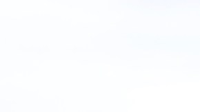 Timothée Chalamet y Zendaya