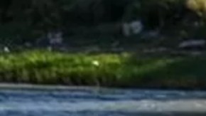 Miles de venezolanos han estado ingresando cada mes a EE.UU. a través de la frontera con México.