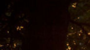 ¿Cuánto cuesta tener un noviazgo en México Tiktoker comparte video viral