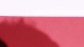 La republicana, Kari Lake  hace un mal comentario del ataque de Paul Pelosi.