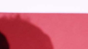 La candidata republicana está segura que ganará las elecciones intermedias.