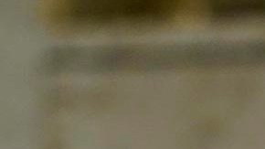 Chris Murphy espera que el próximo año pueda llevar a cabo el proyecto de ley.