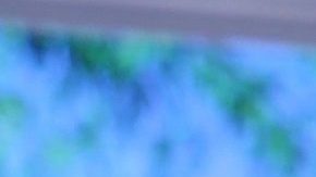 Lorenzo Méndez dedica canción a su ex, Chiquis | Mezcalent.