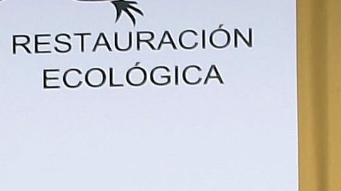Irina Baeva y Gabriel Soto enfrentan críticas en redes sociales.