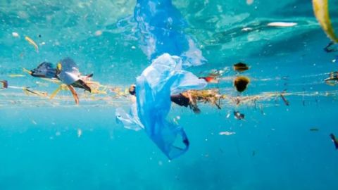 La contaminación de los océanos es preocupante.