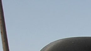 11 reclutas del Departamento del Sheriff del condado de Los Ángeles en estado crítico cuando un auto los atropelló durante carrera matutina