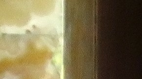 Silvia Pinal rompió el silencio sobre su herencia.