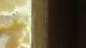 Silvia Pinal rompió el silencio sobre su herencia.