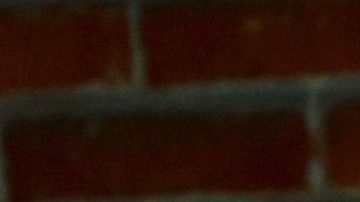 Leti Calderón habla del día que la drogaron | Mezcalent.