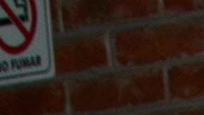 Victoria Ruffo habla sobre la Presidencia de México | Mezcalent.