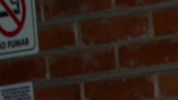 Victoria Ruffo habla sobre la Presidencia de México | Mezcalent.