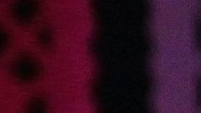 Don Ignacio López tarso confiesa lo que le robó a la Reina Isabel II | Mezcalent.