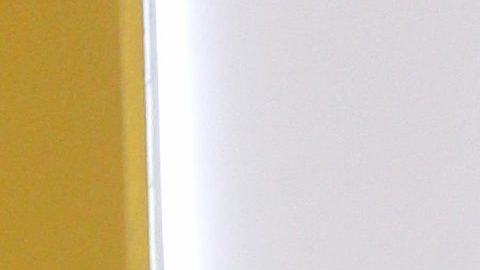 Galilea Montijo impacta con su belleza en redes sociales.