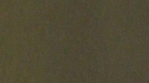 Tenoch Huerta responde a Mauricio Castillo | Mezcalent.