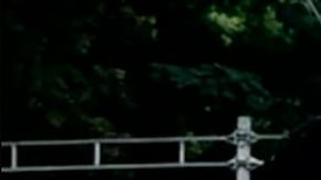 Día de Muertos: cómo la saga de James Bond “inventó” el llamativo desfile de Ciudad de México