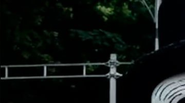 Día de Muertos: cómo la saga de James Bond “inventó” el llamativo desfile de Ciudad de México