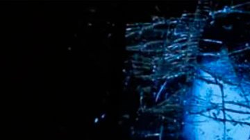 Twitter: qué ocurrió durante los primeros 10 días de "caos" bajo el nuevo mandato de Elon Musk