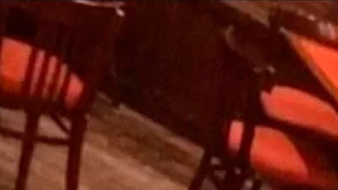 Caso Ariadna López: qué se sabe sobre el presunto feminicidio que causa un inusual choque entre las autoridades en México