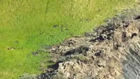 3 de los efectos más raros del calentamiento global