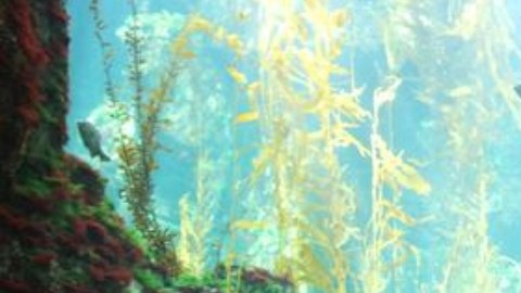 En la institución buscan el desarrollo integral de los estudiantes.