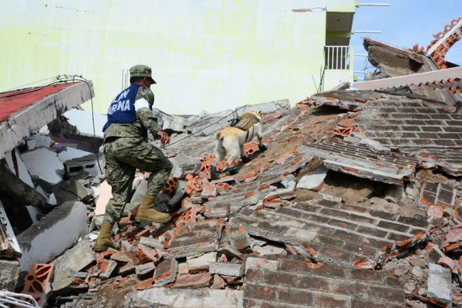 FOTOS: Murió la perrita rescatista Frida; símbolo y heroína de los sismos de 2017 en México