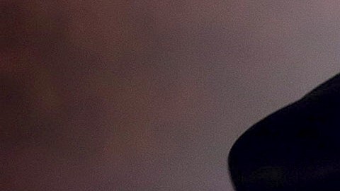 Vicente Fernández Jr. desconoce la bioserie de su padre producida por Televisa.