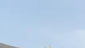 Los inmigrantes fueron encontrados hacinados dentro de la caja de un camión.