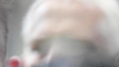 Fiscalía EE.UU. pide 15 años de cárcel para fundadora de Theranos