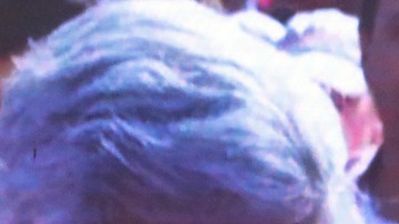 AMLO califica de “striptease político del conservadurismo” la marcha por el INE y exhibe a sus opositores