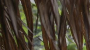 Grupos armados se enfrentan en Colombia y dejan 18 muertos