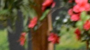 Pati Chapoy presume cuerpazo a sus 73 años.