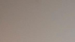 Biden espera que Putin negocie liberación de basquetbolista estadounidense