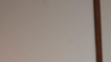 Biden espera que Putin negocie liberación de basquetbolista estadounidense